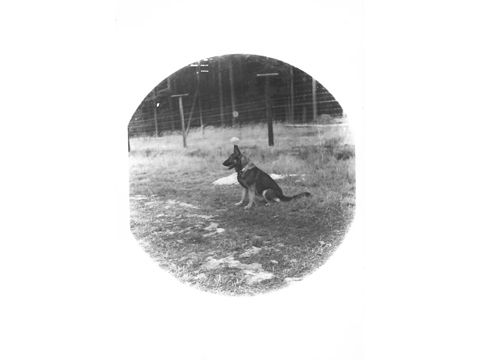 Foto 9